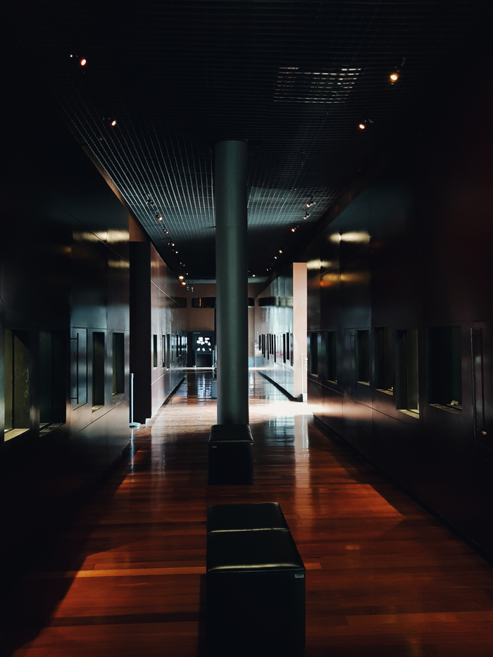 A sleek and modern hallway with wooden flooring and elegant lighting, showcasing contemporary architecture.